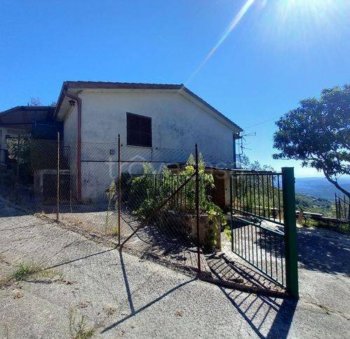 casa indipendente in vendita ad Olevano Romano