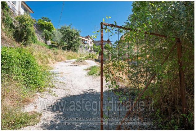 terreno agricolo in vendita ad Olevano Romano