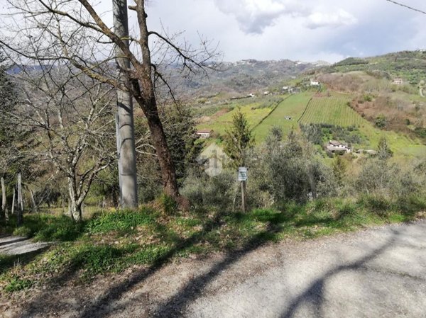 appartamento in vendita ad Olevano Romano