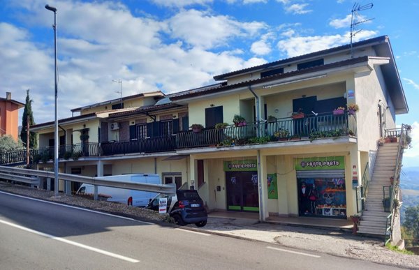 appartamento in vendita ad Olevano Romano