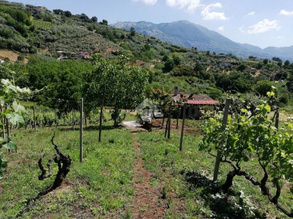 appartamento in vendita ad Olevano Romano