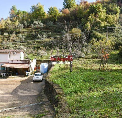 casa indipendente in vendita ad Olevano Romano