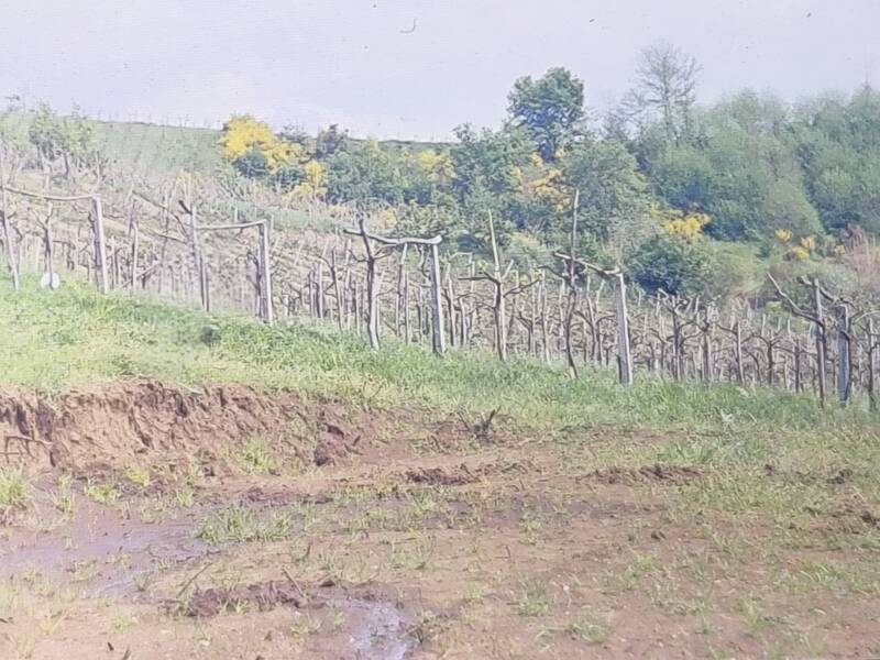 terreno edificabile in vendita ad Olevano Romano