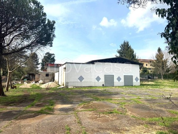 negozio in vendita ad Olevano Romano