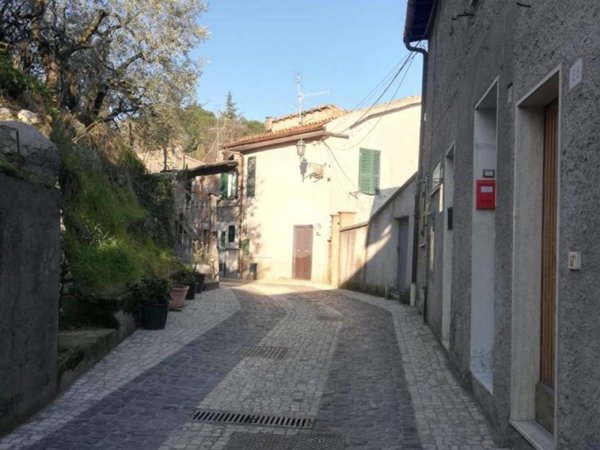 appartamento in vendita ad Olevano Romano