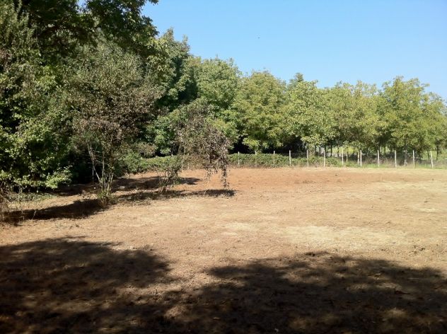 terreno agricolo in vendita ad Olevano Romano