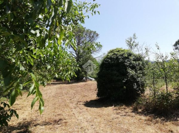 appartamento in vendita ad Olevano Romano