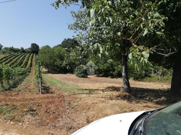 casale in vendita ad Olevano Romano