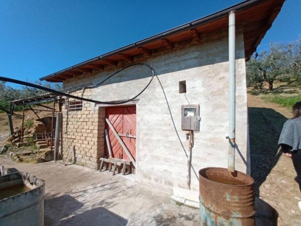 casa indipendente in vendita ad Olevano Romano