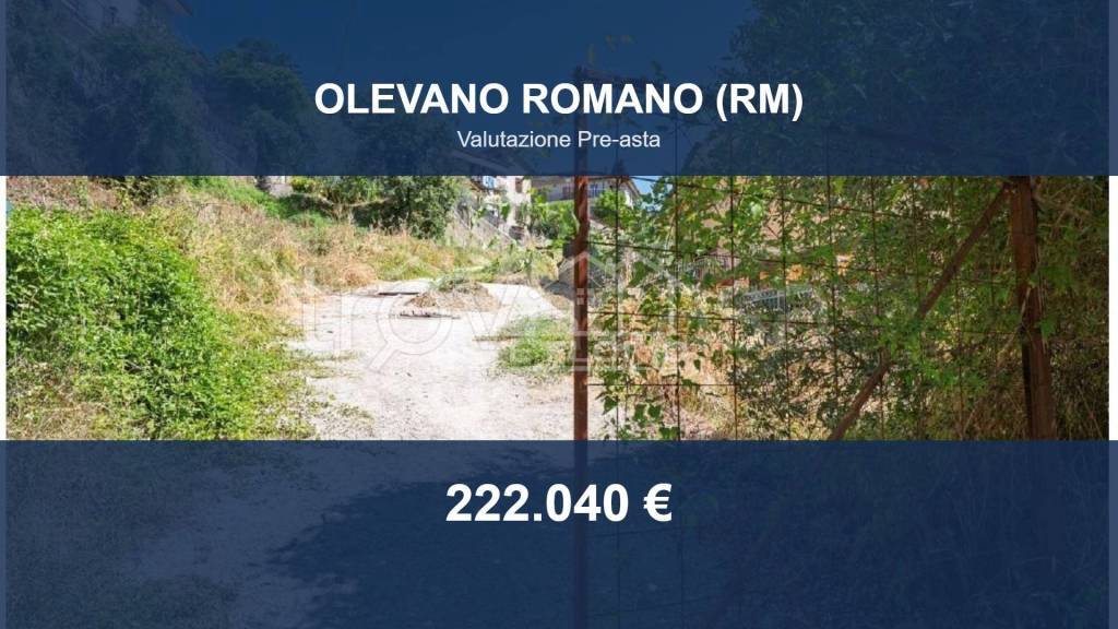 terreno agricolo in vendita ad Olevano Romano