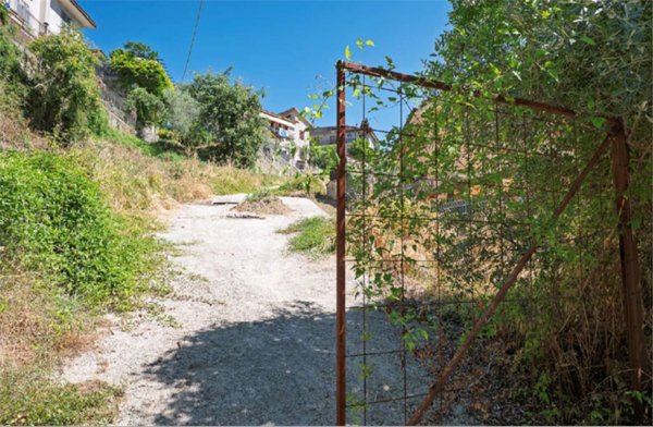 terreno in vendita ad Olevano Romano