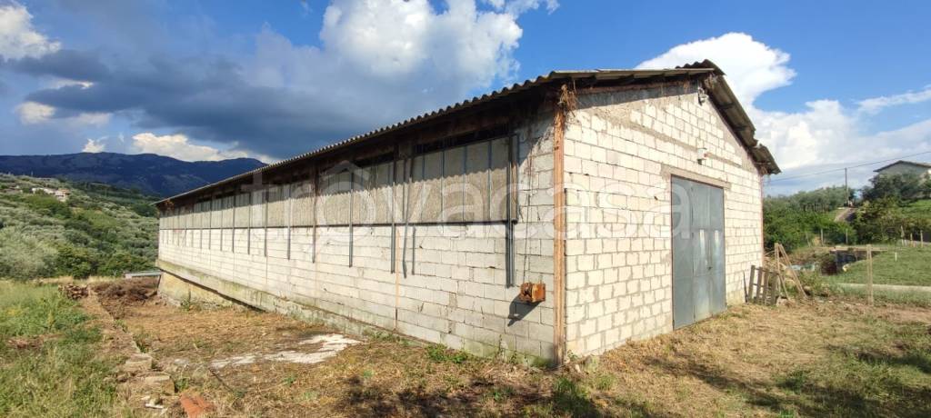 appartamento in vendita ad Olevano Romano