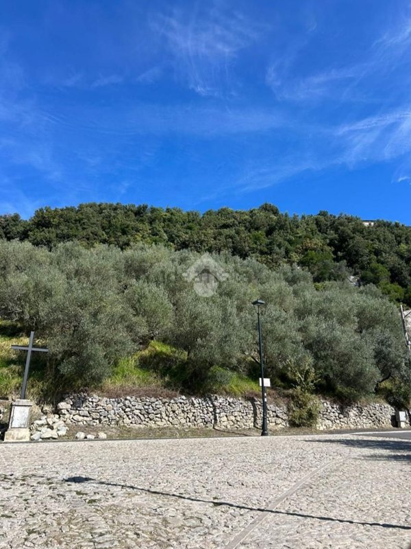 terreno in vendita ad Olevano Romano