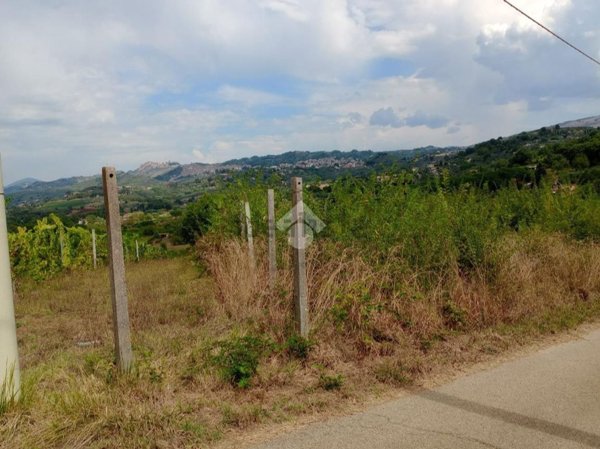 terreno in vendita ad Olevano Romano
