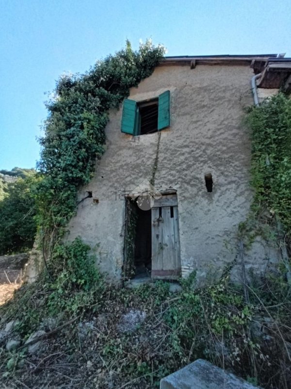 casa indipendente in vendita ad Olevano Romano