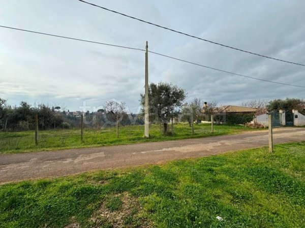 terreno agricolo in vendita a Palestrina