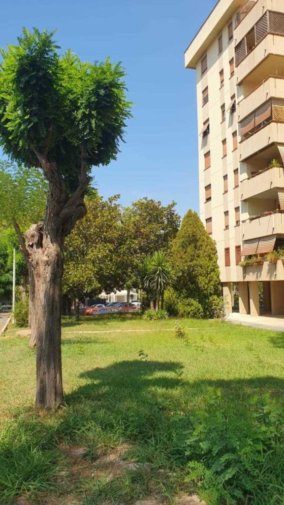 appartamento in vendita a Palestrina