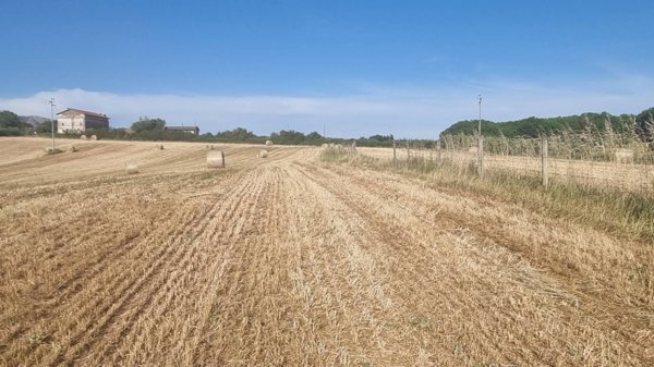 terreno agricolo in vendita a Palestrina