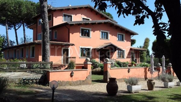 negozio in affitto a Palestrina