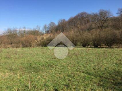 terreno agricolo in vendita a Palestrina
