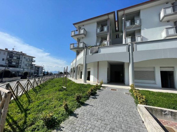 negozio in vendita a Palestrina