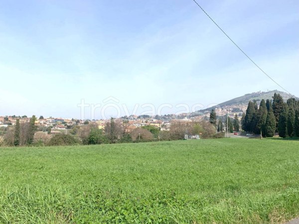 terreno agricolo in vendita a Palestrina