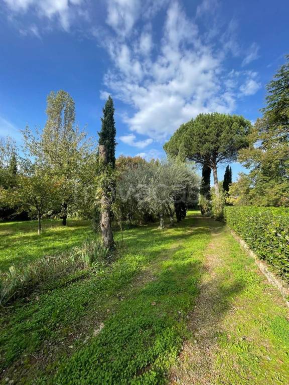 casa indipendente in vendita a Palestrina