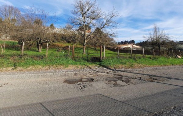 terreno agricolo in vendita a Palestrina in zona Carchitti