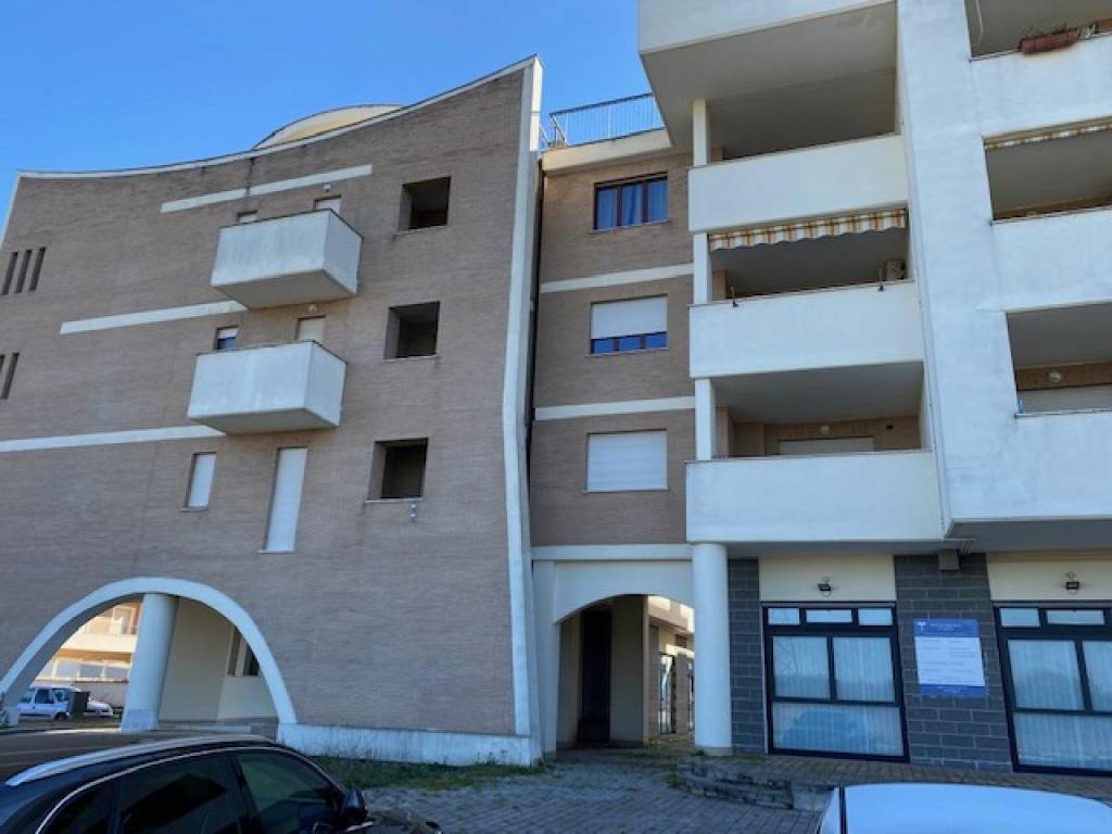negozio in vendita a Palestrina