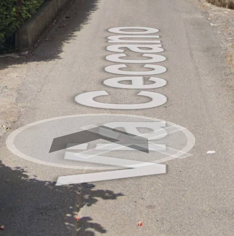 appartamento in vendita a Palestrina