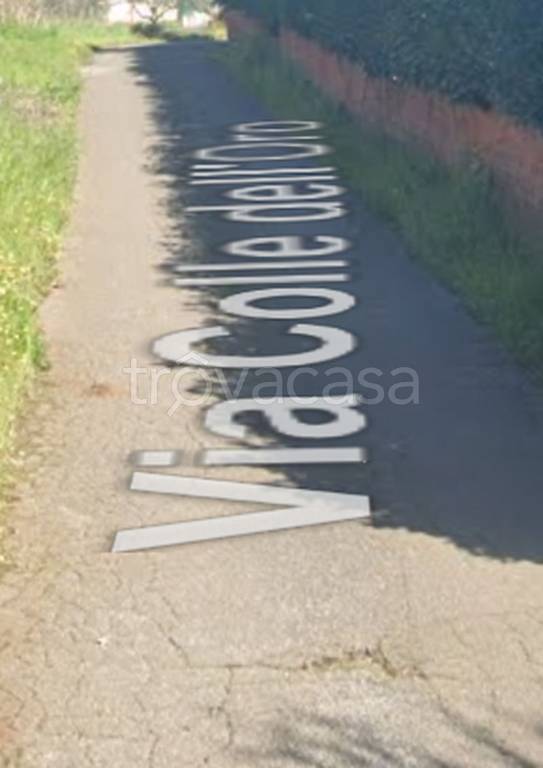 negozio in vendita a Palestrina