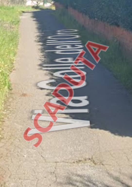 negozio in vendita a Palestrina