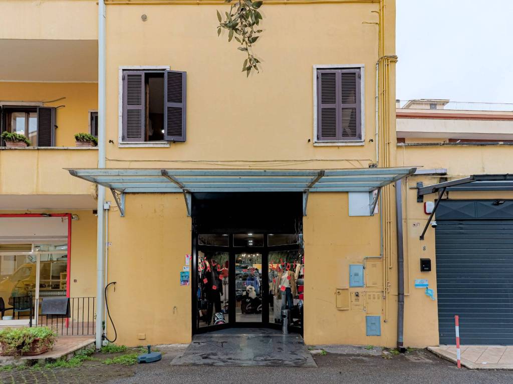 negozio in vendita a Palestrina
