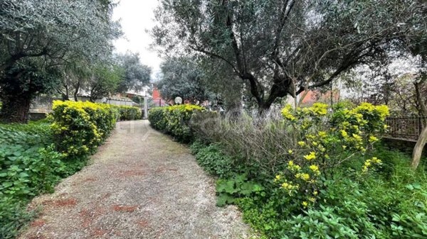 casa indipendente in vendita a Palestrina