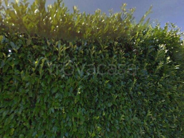 casa indipendente in vendita a Palestrina