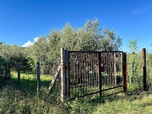 terreno agricolo in vendita a Palestrina