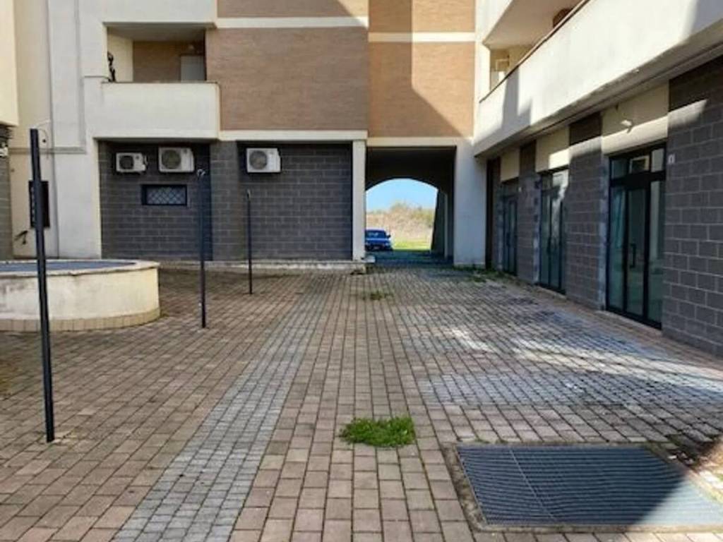 negozio in vendita a Palestrina