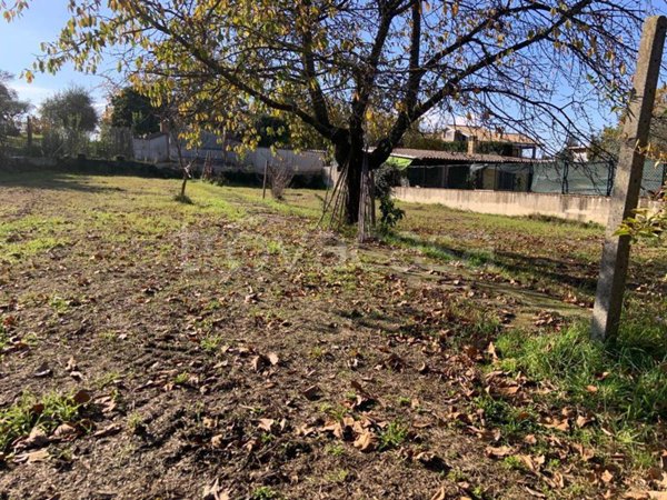 casa indipendente in vendita a Palestrina