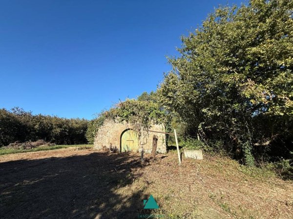 terreno agricolo in vendita a Palestrina