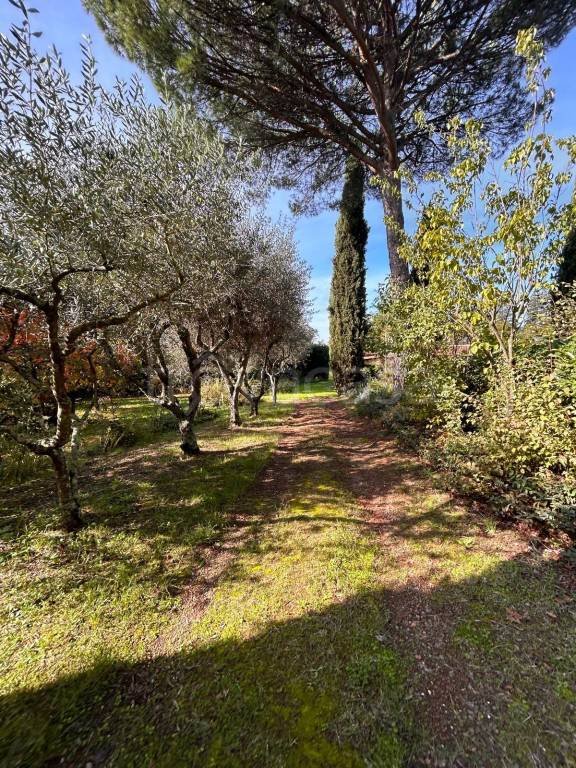 casa indipendente in vendita a Palestrina