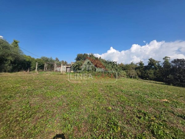 terreno agricolo in vendita a Palestrina