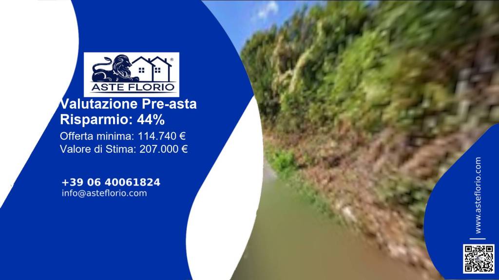 negozio in vendita a Palestrina