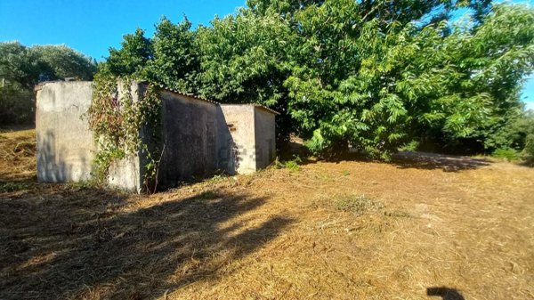 appartamento in vendita a Palestrina in zona Carchitti