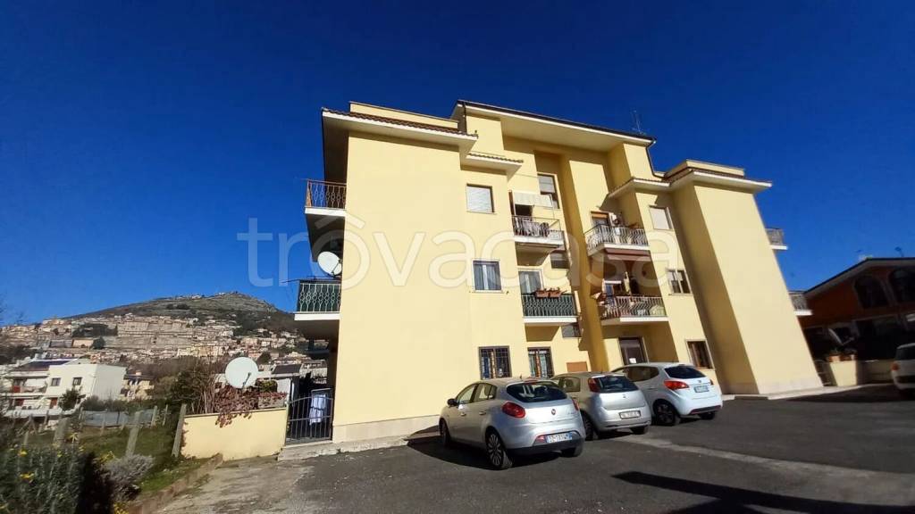 appartamento in vendita a Palestrina