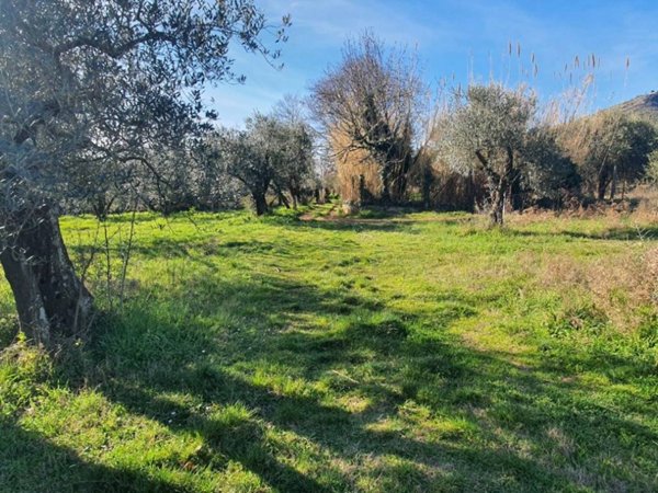 casa indipendente in vendita a Palestrina