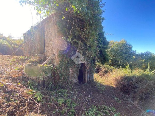 casa indipendente in vendita a Palestrina