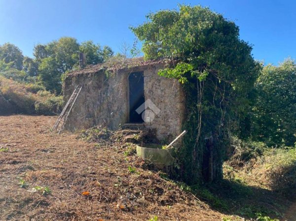 appartamento in vendita a Palestrina