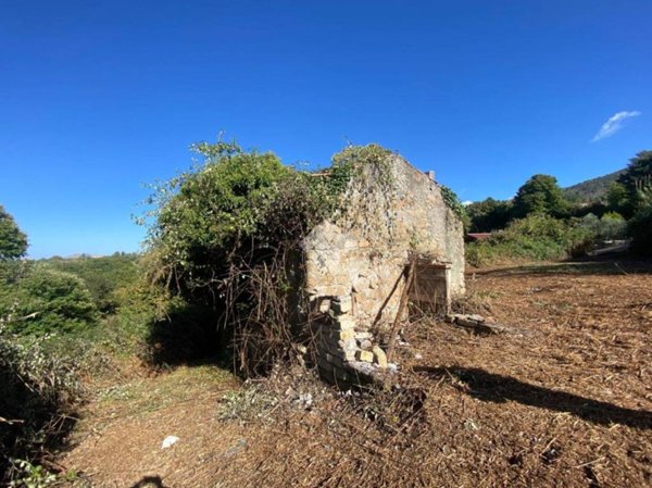 appartamento in vendita a Palestrina