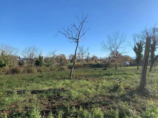 terreno agricolo in vendita a Palestrina