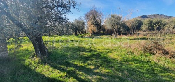 casa indipendente in vendita a Palestrina